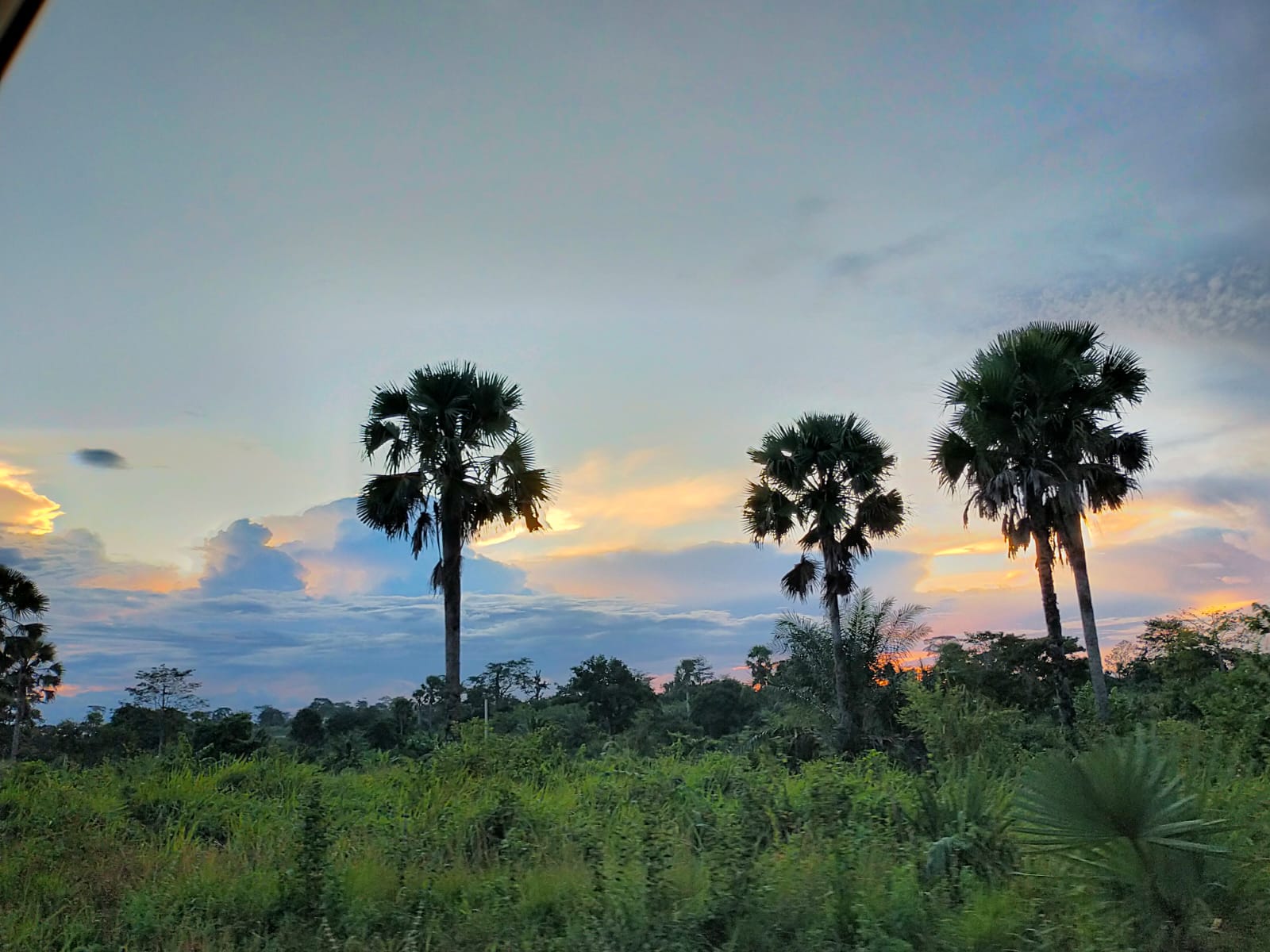 Yamoussoukro SAINTE FAMILLE VILLEFRANCHE
