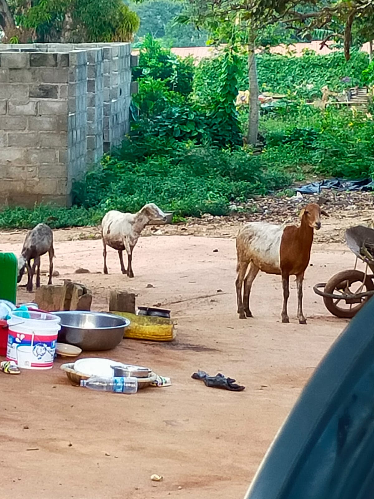 Yamoussoukro SAINTE FAMILLE VILLEFRANCHE